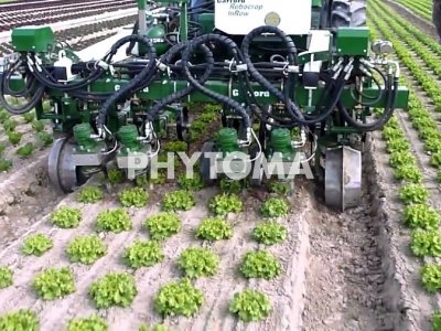 Aplicaciones de la Agricultura de Precisión a la gestión de malas hierbas. Técnicas de aplicación.